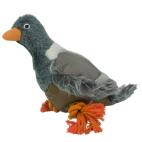 Wild Life Dog Pigeon (Duif)