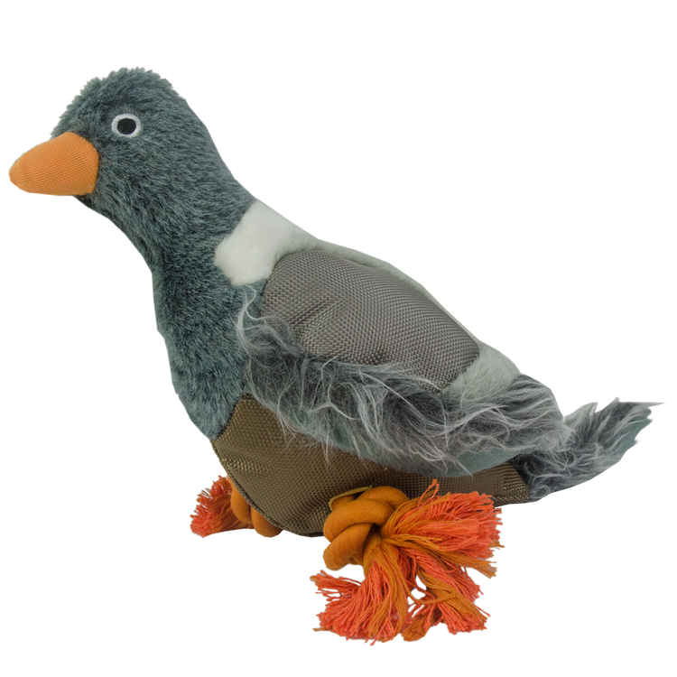 Foto van Wild Life Dog Pigeon (Duif)