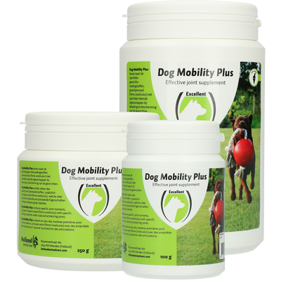 Foto van Dog Mobility Plus