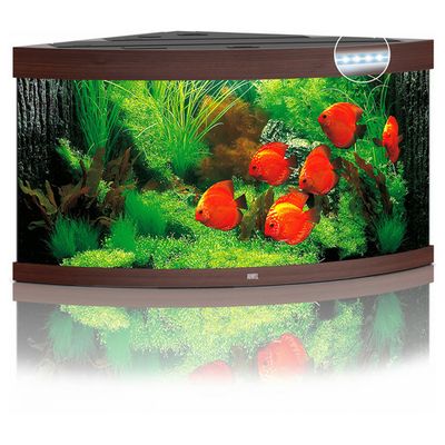 Juwel Aquarium Trigon 350 LED Foto van Juwel Aquarium Trigon 350 LED