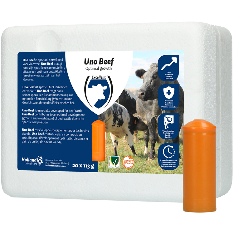 Foto van UNO Beef (Vleesvee)