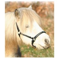 Waldhausen Lerenhalster Diamond