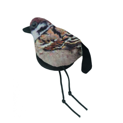 Foto van Wild Life Cat Sparrow (Mus)