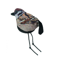 Wild Life Cat Sparrow (Mus)