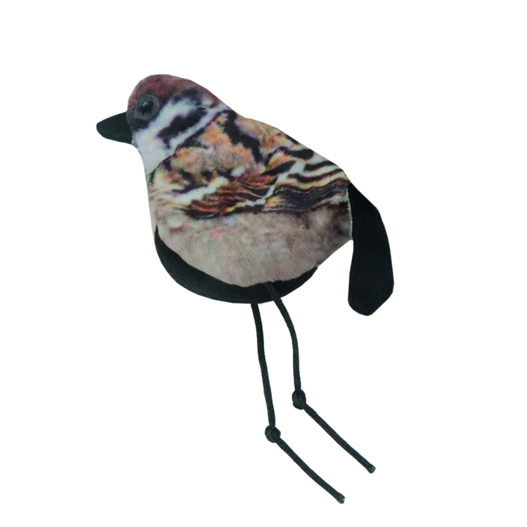 Foto van Wild Life Cat Sparrow (Mus)