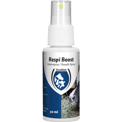 Foto van Respi Boost (Ademspray)