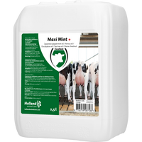 Maxi Mint grootverpakking incl. dosator