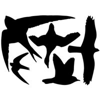 Best for Birds Raamstickers vogel ass.