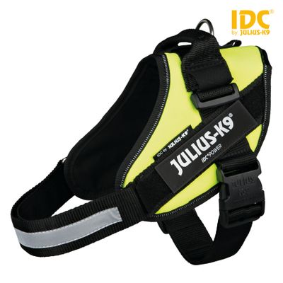 Julius IDC® Powertuig Foto van Julius IDC® Powertuig