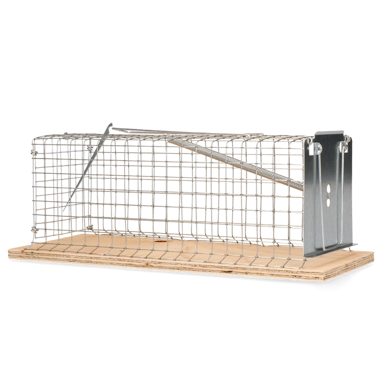 Foto van Classic Rattenkooi