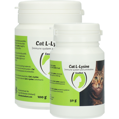 Foto van Cat L-Lysine