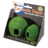 SuperFish Decor home bol met mos