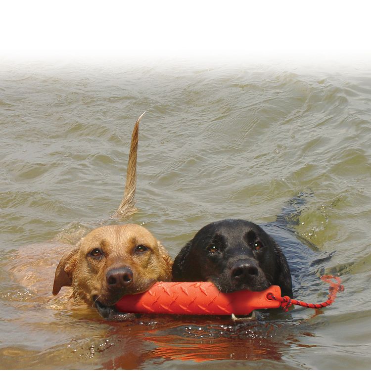 Foto van KONG Training Dummy L 50.8 cm