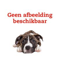 Versele-Laga Nutribird Nutribird G18 original kweek