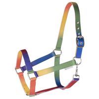 Waldhausen Halster regenboog