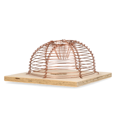 Foto van Classic Muizenkooi Rond