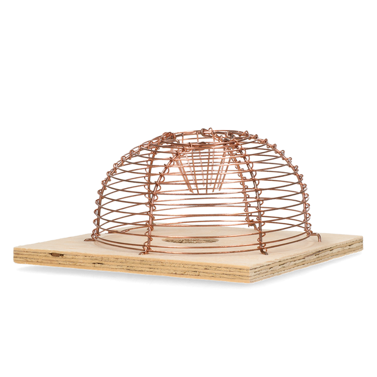 Foto van Classic Muizenkooi Rond