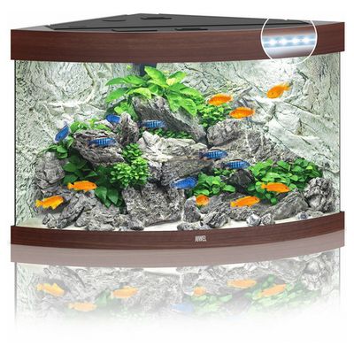 Juwel Aquarium Trigon 190 LED Foto van Juwel Aquarium Trigon 190 LED