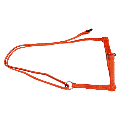 Foto van Koehalster verstelbaar breed oranje