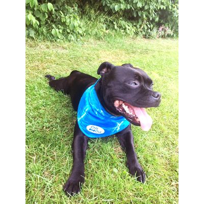 Foto van AFP Chill Out-Bandana S