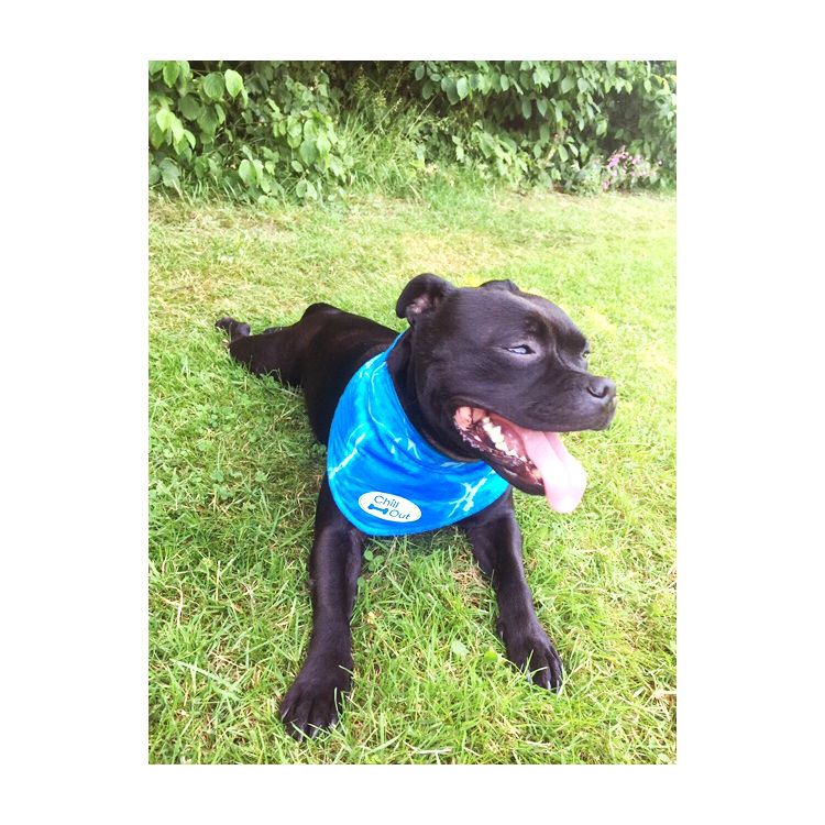 Foto van AFP Chill Out-Bandana S