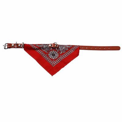 Foto van Adori Halsband+zakdoek xs/s