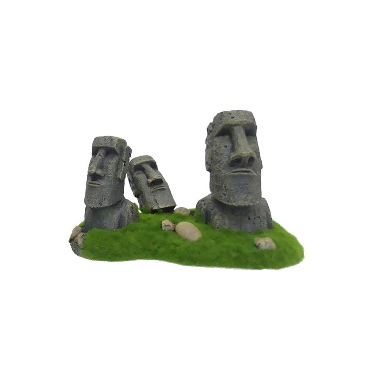 Foto van Aqua Della Moai easter eiland