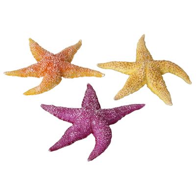 Aqua Della Decor zeester Foto van Aqua Della Decor zeester