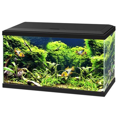 Foto van Ciano Aquarium 60 CF80 LED