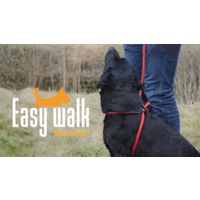 Easy Walk Mini Handmodel Rood
