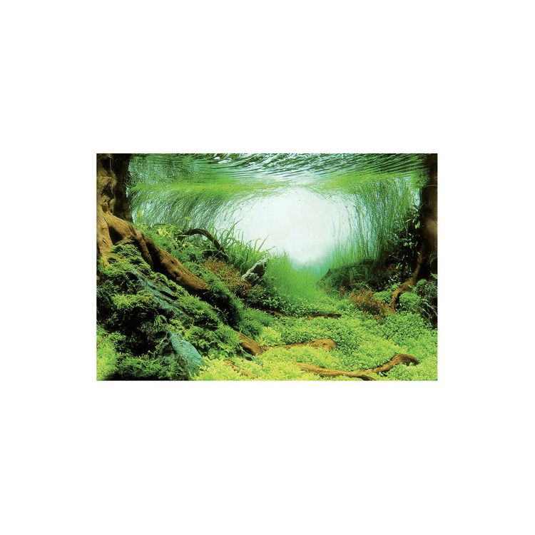 Foto van SuperFish Deco Poster