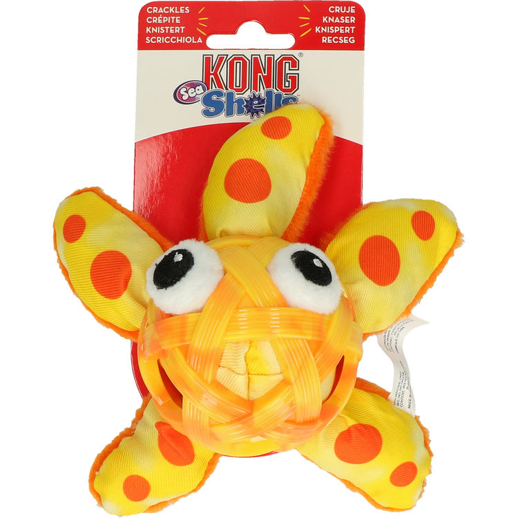 Foto van KONG Sea Shells Starfish Small/Medium