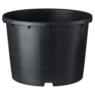 Foto van Nature Ritzi container