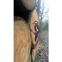 Vogel Cortenstaal - Specht - Zwart