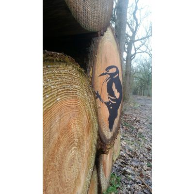 Foto van Vogel Cortenstaal - Specht - Zwart