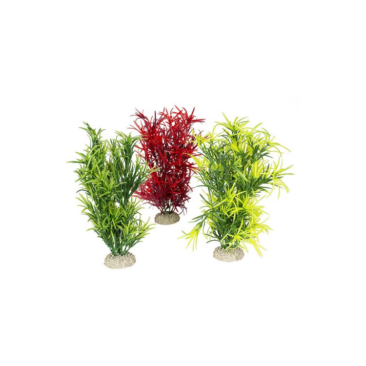 Foto van Aqua Della Decor plant Hydrilla