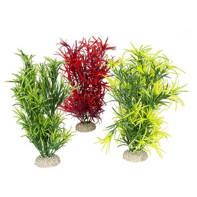 Foto van Aqua Della Decor plant Hydrilla