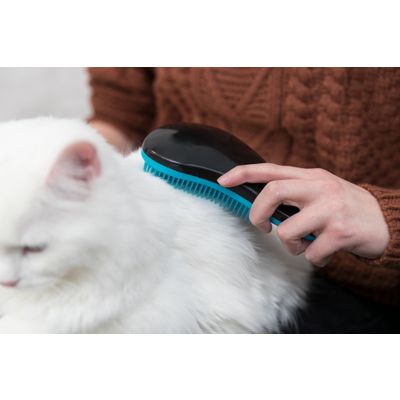 Foto van Trixie Slickerborstel kunststof - 2 stuks