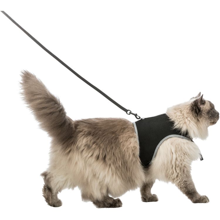 Trixie Softtuig kat met riem XXL - 2 stuks Foto van Trixie Softtuig kat met riem XXL - 2 stuks