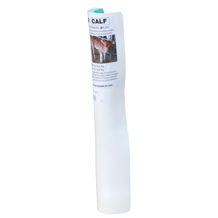 Foto van Poot Spalk Kalf achterpoot groen