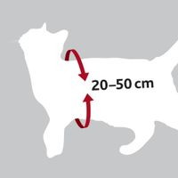 Trixie Auto-kattentuig - 2 stuks