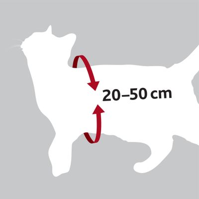 Trixie Auto-kattentuig - 2 stuks Foto van Trixie Auto-kattentuig - 2 stuks