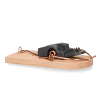 SuperCat Muizenval FSC Hout