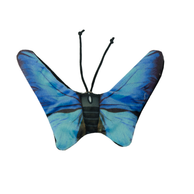 Foto van Wild Life Cat Blue Butterfly (Blauwe Vlinder)