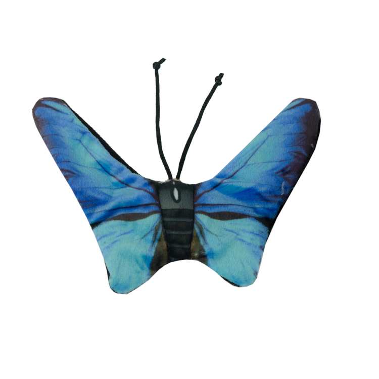 Foto van Wild Life Cat Blue Butterfly (Blauwe Vlinder)