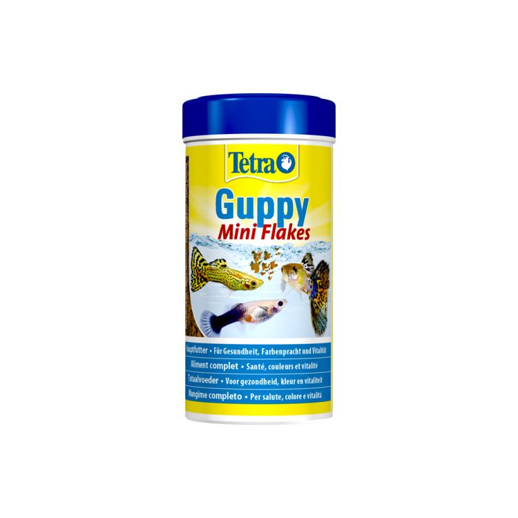 Foto van Tetra Guppy visvoer vlokken