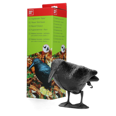 Foto van Vogelverschrikker Raaf