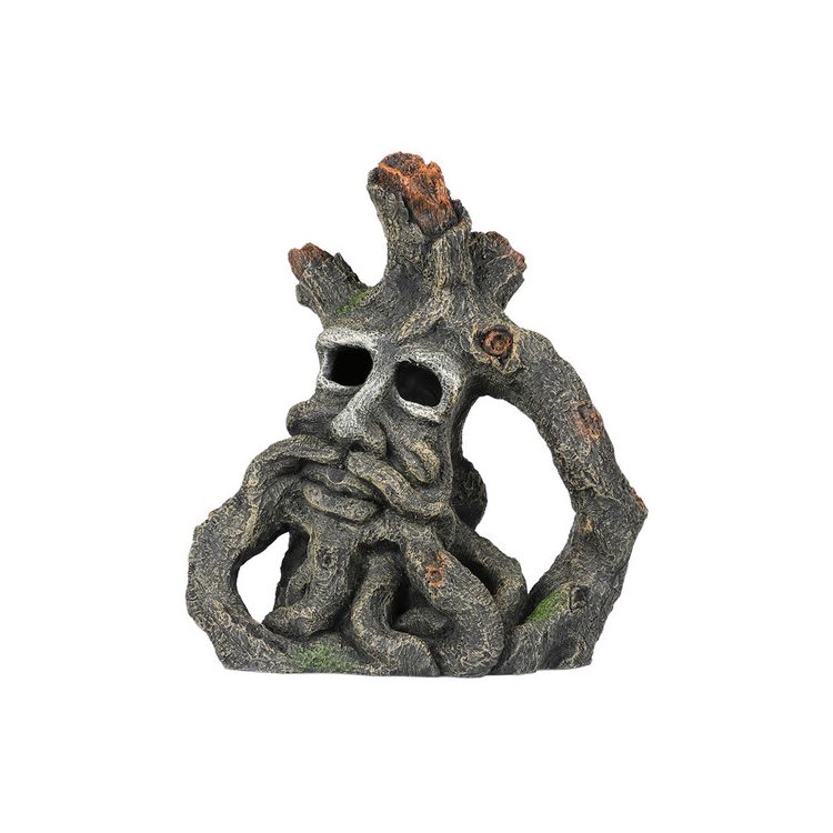 Foto van Aqua Della Jacob root