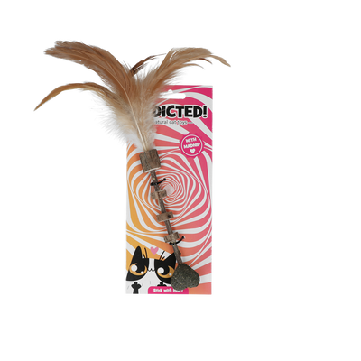 Foto van Addicted Stick with heart and feathers