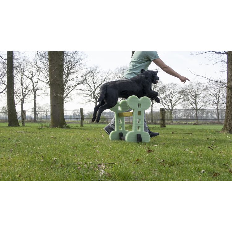 Foto van Dog Agility set (indoor en outdoor)
